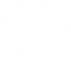 Datoriķi