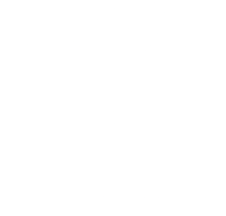 Datoriķi