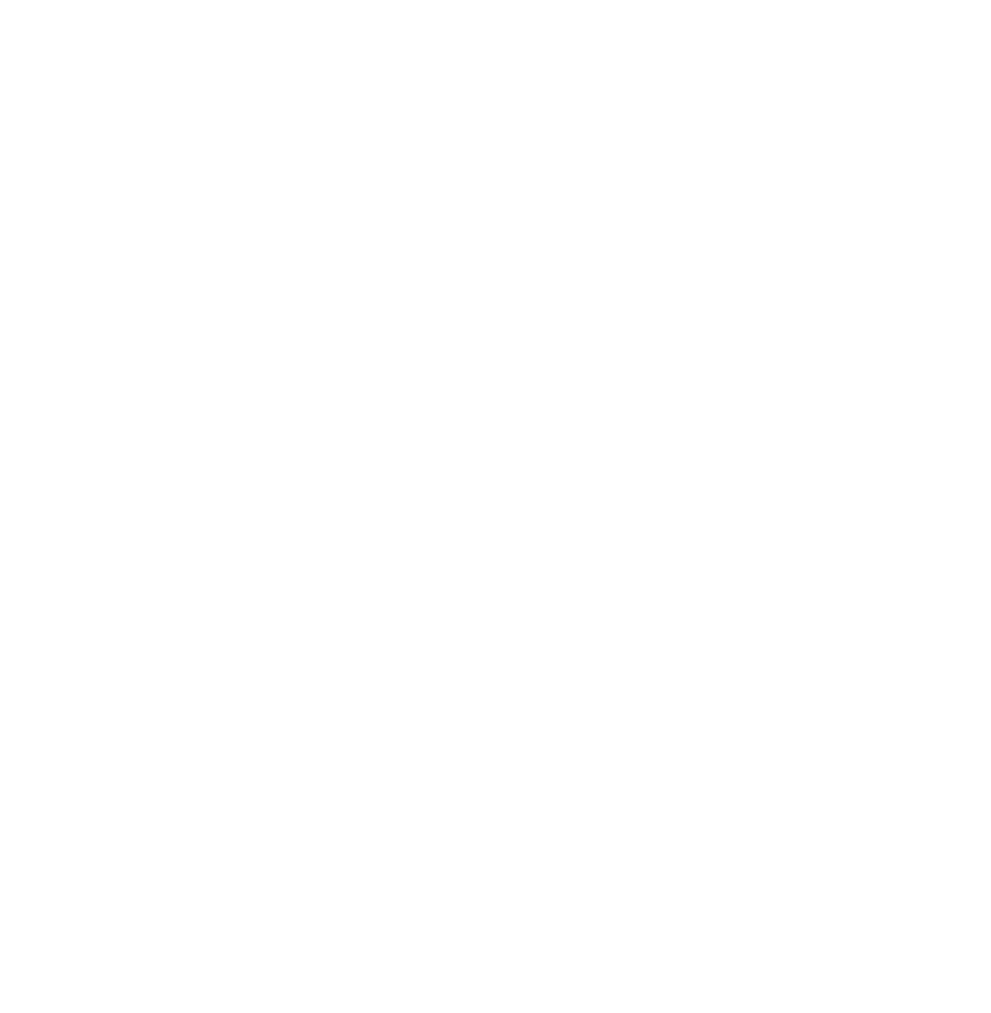 Biedrība Datoriķi